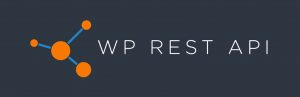 WP REST API website